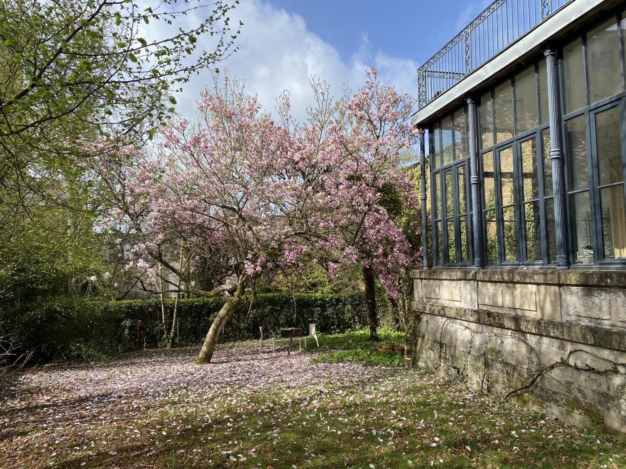 La Villa Beaupeyrat - Apparthotels De Charme Dans Batisse De Caractere A 400M Du Coeur De Ville De Limoges Szoba fotó